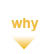 why armadillo